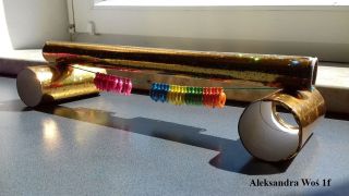 Aleksandra Wo%%C5%%9B 1 (1)